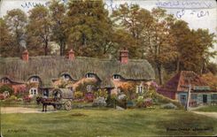 VINTAGE POSTCARD Swan Green