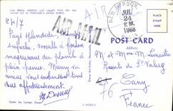 MODERN CARD Live Maine Lobsters JuSt Caught From The Sea Spread Out One Fisherman' S Yellow Oilskin