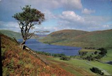 MODERN CARD St Mary' S Log And Tibbie Shiels In Selkirkshire