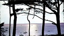CPM Soleil Couchant 
