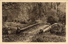 VINTAGE POSTCARD splendors And charms Of Versailles Small Trianon rustic Bridge