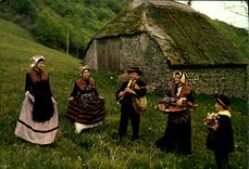CPM Folklore De France L'Auvergne L'Auvergne Pittoresque Et Le Folklore 