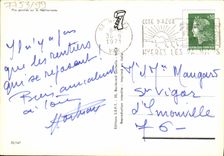 CPM Pins Penches Sur La Mediterranee Arbres