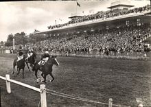 MODERN CARD Deauville Racecourse Hippisme Horse