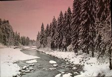 CPM Les arbres Francoz