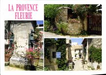CPM La Provence Fleurie Fontaine de village Vieux puit provencal et ruelles fleuries