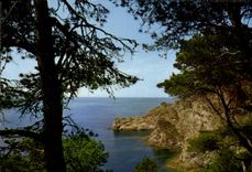 CPM Mediterranee Aux Rivages Sans Nuages Calanques Ou La Vague s'Abrite