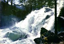 MODERN CARD the Large Cascade