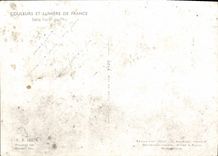 CPM Couleurs Et Lumiere De France Belle foret de pins