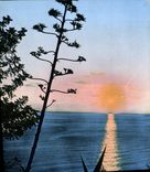 MODERN CARD Setting Sun Sweats the Mediterranean