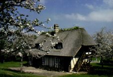 MODERN CARD Normandy Pittoresque Dimensions flowered typical Maison of the Vernier marsh