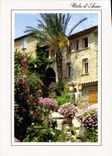 CPM Un Village Provencal en Fleurs Provence