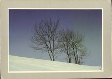 CPM Les joies de la neige Philippe Varrenes