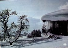 POSTAL MODERNA invierno en nuestras montañas los gráficos de nieves