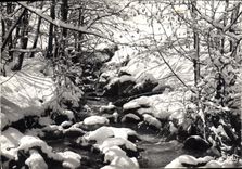 MODERN CARD Images of On our premises in Winter Brook in winter