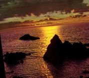 CPM La Mediteranee Coucher de Soleil