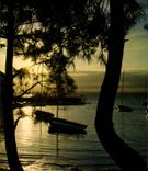 CPM Barque 
