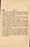 Chromo Chat