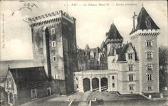 CPA Pau Le Chateau Henri IV Entree principale