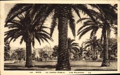CPA Nice Le Jardin Public Les Palmiers