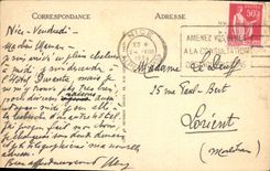 CPA Nice Le Jardin Public Les Palmiers