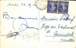 CPA Nice Les Jardins du Roi Albert L'hotel de France et l'hotel Ruhl