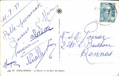 VINTAGE POSTCARD Concarneau the Basin seen of the Wood of Fir trees