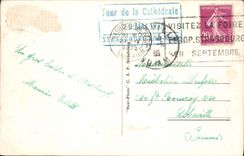 CPA Les Cigognes En Alsace 