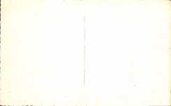 Mihrab Nuevo de Córdoba Mezquita de la POSTAL de la VENDIMIA