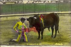 VINTAGE POSTCARD Desplante de Litri Bull Bullfight