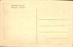 VINTAGE POSTCARD Brownish Mesaline