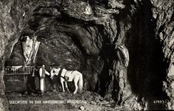 MODERN CARD Seegrotte In Der Hinterbruhl Pferdestall Horse