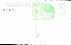 MODERN CARD Seegrotte In Der Hinterbruhl Pferdestall Horse