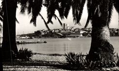 CPM Antibes Echappee la Vieille Ville a travers les palmiers 