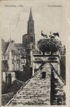 CPA Strasbourg Storchennest Cigogne 