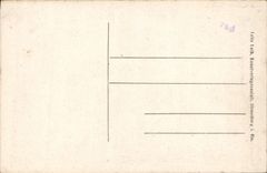 Cigüeña de Estrasburgo Storchennest de la POSTAL de la VENDIMIA