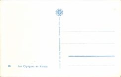 CPA Le Cigognes en Alsace