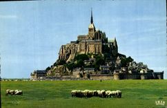 CPM Le Mont Saint Michel Les Pres Sales Moutons