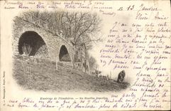 CPA Environs de Plombieres La feuille Dorothee Vieille femme et sa chevre 