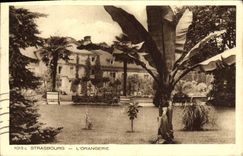 VINTAGE POSTCARD Strasbourg the Orangery