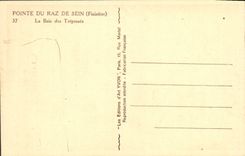 VINTAGE POSTCARD Pointe Of the Strong current Of Center the bay of Trespass