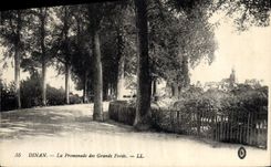 VINTAGE POSTCARD Dinan the Walk of Large the Pits