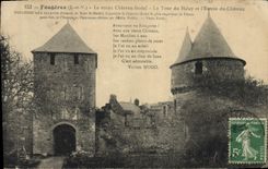 VINTAGE POSTCARD Ferns the Old feudal Castle the tower of Halay and the entry of the castle