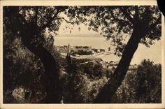 VINTAGE POSTCARD Be Corsica Ajaccio Beauty