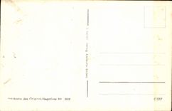 VINTAGE POSTCARD Mainz Dom