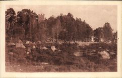 CPA Foret de Fontainebleau La Tour Denecourt 