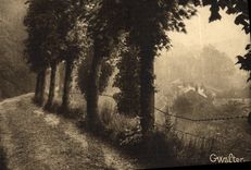 VINTAGE POSTCARD Bernay Walk Of the Mounts
