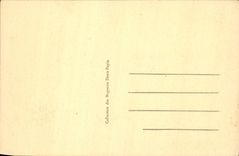 POSTAL Chenonceaux de la VENDIMIA el castillo visto de costoso plano