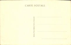 CPA Chamonix Vue Panoramique