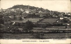 VINTAGE POSTCARD Chinon Castle View
